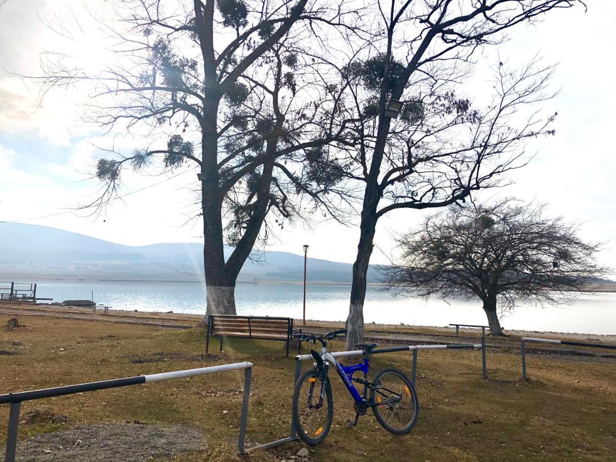 Laguna Beach Club Bazaleti Lake Dushet'i Kültér fotó